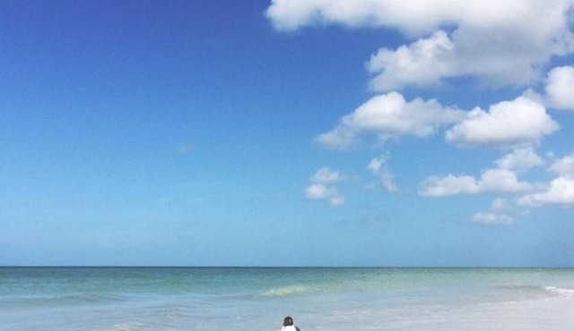 Sea Oats - Lauren Cove