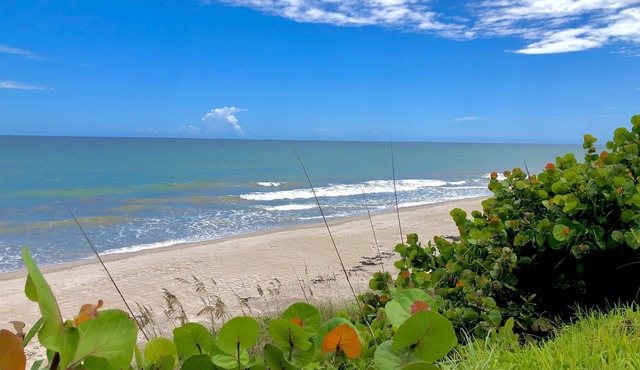 Sea Owl Suite 3, Oceanfront style and Serenity in Melbourne Beach!