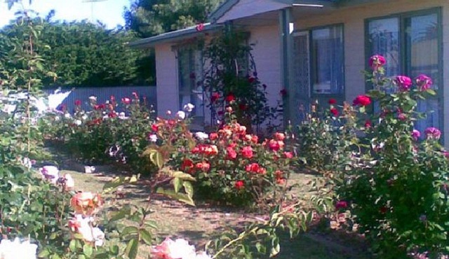 Sea Rose ~ Short walk to the beach and shops! Off Peak Special!