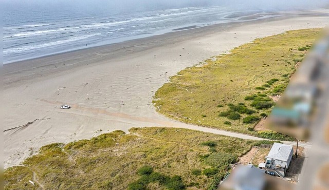 Sea Star Studio - Ocean View - Steps to the Beach, Dog Friendly