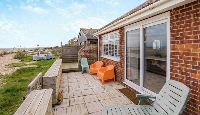 Sea Urchins - UK48896