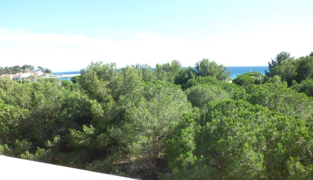 Sea view, air conditioning, Wifi, beach in front