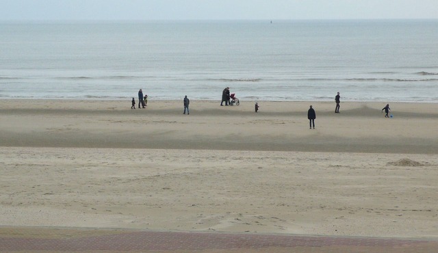 Sea view apartment 20 m from the beach