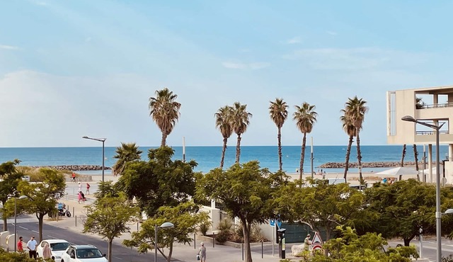 Sea view apartment in SETE