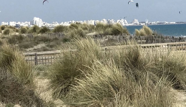 Sea view Clim, wifi, 5 mn from the beach, classified 2 ⭐️piscine, parking