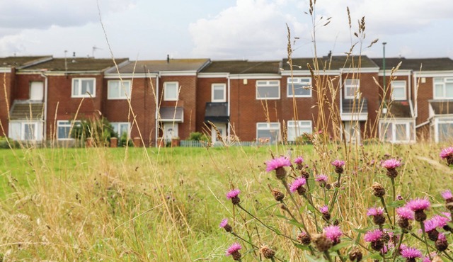 SEA VIEW COTTAGE, pet friendly, with a garden in South Shields