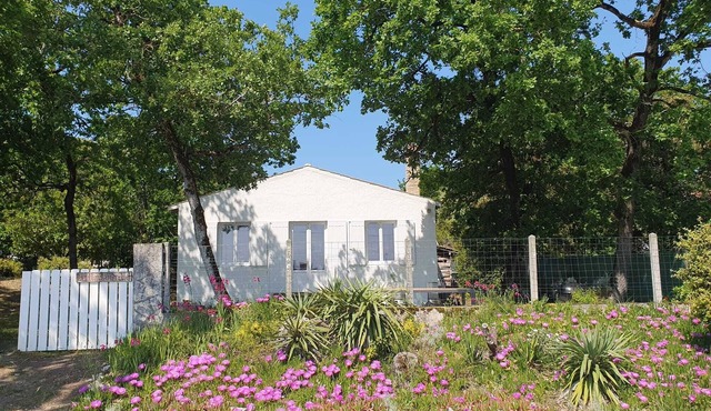 Sea view, Fort Royer beach 2 steps away, enclosed wooded grounds 1400 m², 3 terraces, GOLF