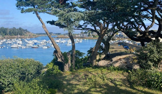 Sea view villa on the port of Ploumanac'h