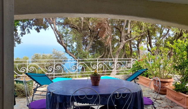 Sea views, 2 beautiful terraces, charming duplex in villa, landscaped garden