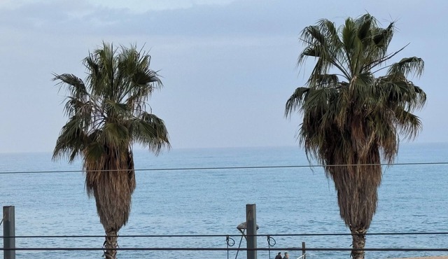 Sea views and garden near Barcelona!