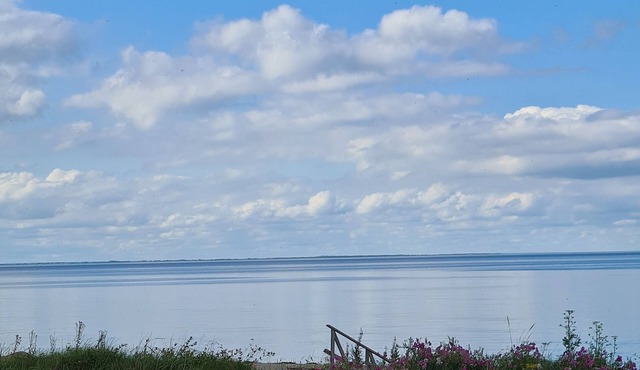 Sea Views for Life Lovers