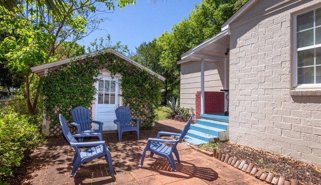 Seabird Shack: Dog Friendly, Downtown Pensacola!