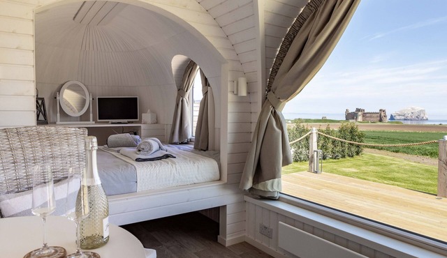 Seacliff Cabin (sea views)