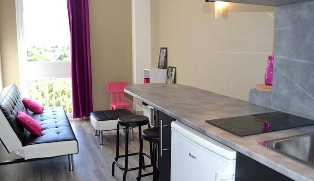 Seafront 2-Room Apt for 3 in Argelès-sur-Mer with Direct Beach Access & Pet-Friendly
