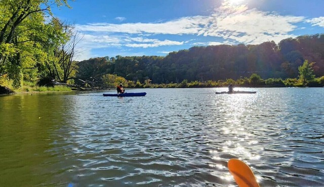 Seagull Bungalow in the Harbor
