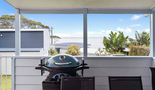 Seahorse Hyams Beach