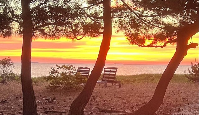 SEAJOY-Waterfront Rare Coastal GemnPet Friendly-fenced yard-Completely Renovated