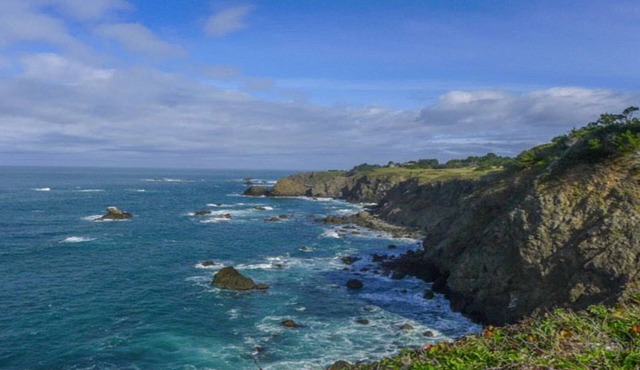 Seal Point - Edge of the World