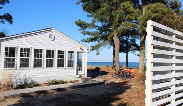 Seascair at Scotland Yards