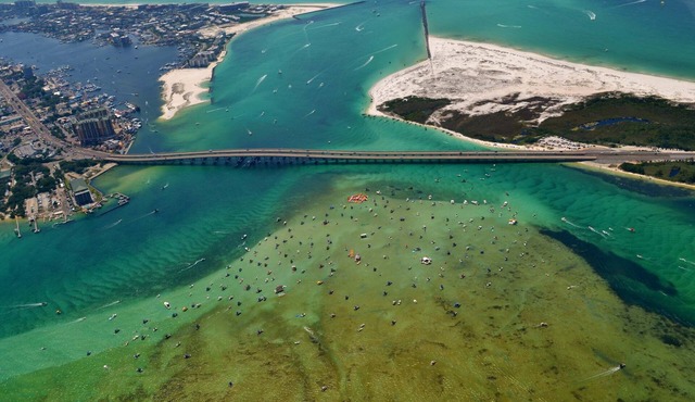 Seashell Shuffle at Pilot House