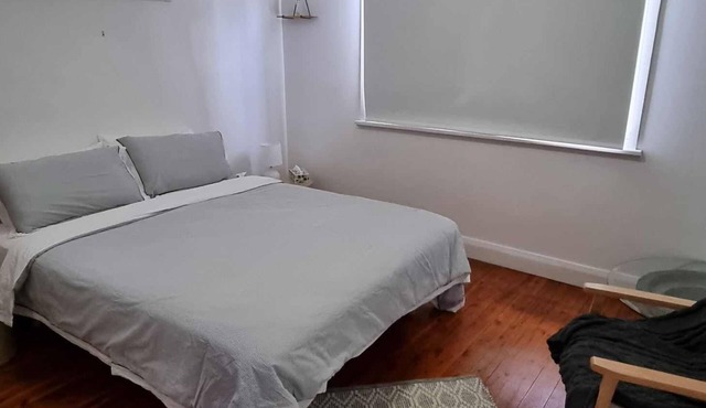 Seashells at Umina Beach