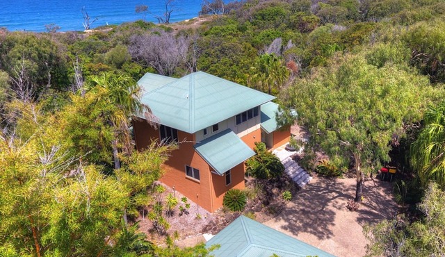 SEASHELLS ON THE BEACH