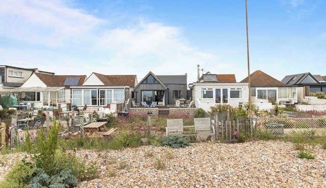 Seashells-Stylish Coastal Living