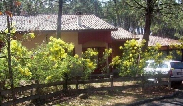 Seaside and woodland vacations near San Sebastian, Capital of Culture 2016