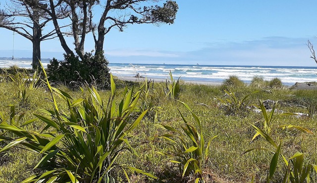 Seaside beach studio loft, sheltered garden and cycle trail access. Great value.