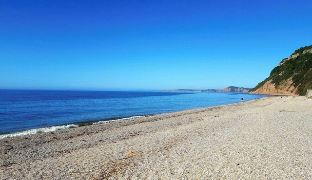 Seaside Chalet Retreat in Sidmouth