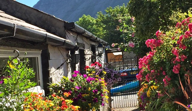 Seaside Cottage, Dogs Welcome - good walks, by beach & Snowdonia National Park