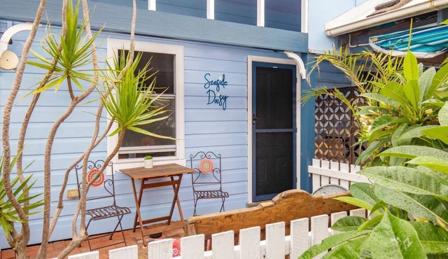 Seaside Daisy The Little Blue Beach Shack