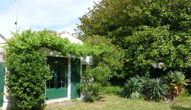 Seaside house, 20 meters from small beach, 500 m from port, shops n' restaurants