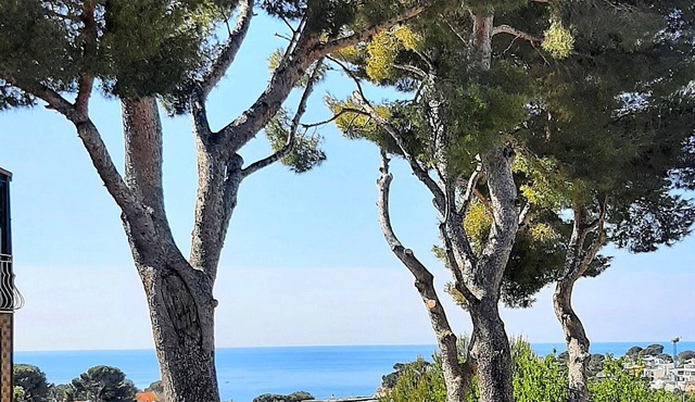 Seaside house under the pines, calm and serenity for a rejuvenating stay