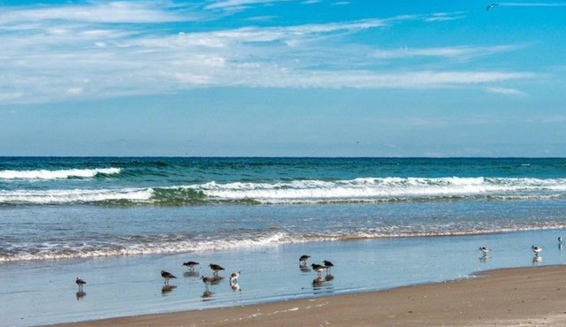 Seaside S 4302 1 Bedroom Condo by RedAwning