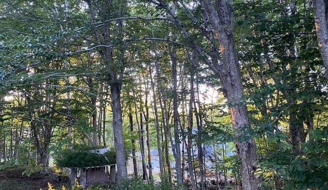 Seaside Sanctuary, 3-min walk to Micou’s Island Beach!