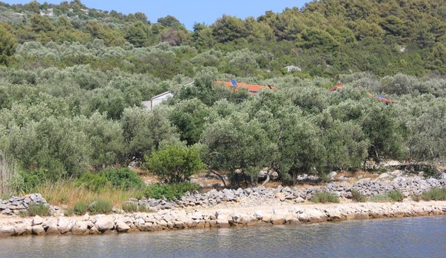 Seaside secluded apartments Cove Magrovica - Telascica, Dugi otok - 8139