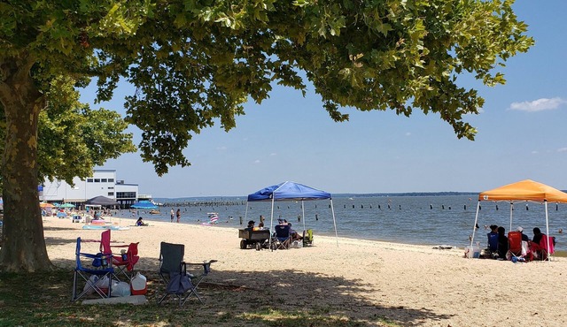 Seaside Serenity: Charming Cottage Steps from Sandy Beach & Downtown Delights