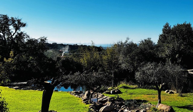 Seasonal rental on the Cuttoli plain: sea-view apartment.