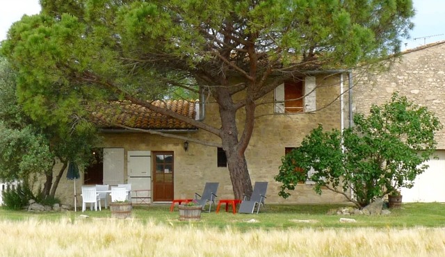 Seasonal renting house, Saint Etienne du Grès, large view on the Alpilles