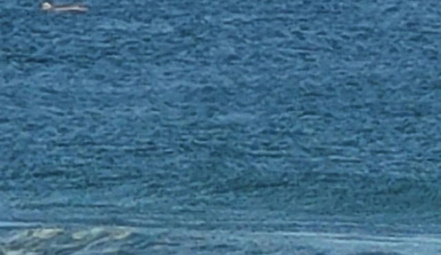 Seasonal Rental, beach toys, chairs, umbrellas, and bikes!