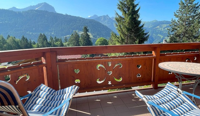 Seasonal rental in Gryon (VD) beautiful 3.5p appartmt 85m² with mountain view.