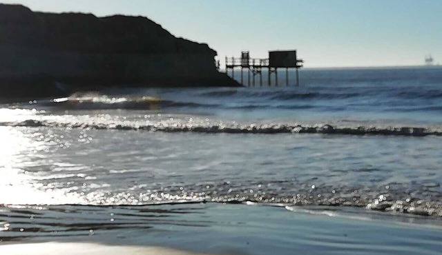 Seasonal rental near royan