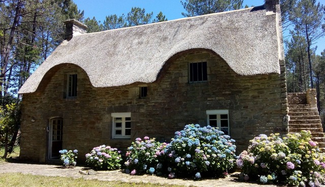 Seasonal rental of a Breton cottage in the heart of the forest