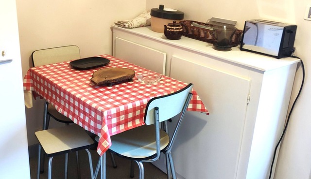 SEASONAL RENTALS (vacations, weekends or short stays.)