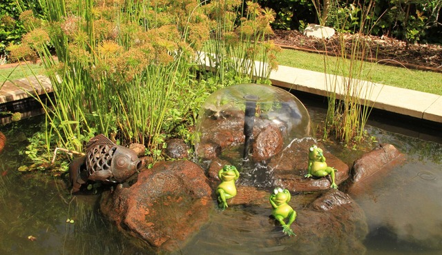 Seasons of Maleny B&B