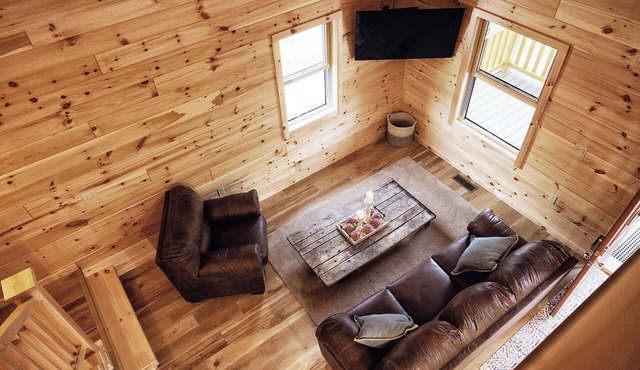 Seasons on Oak Short walk to best Fly Fishing in Northeast Cozy Cabin Deposit NY