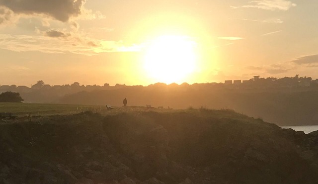 Seaspot, a sunny 1 bed annex apartment at stunning Broadsands Beach nr Brixham!