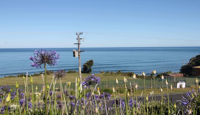 Seaview Cottage. A cosy relaxing cottage, close to Mokau.
