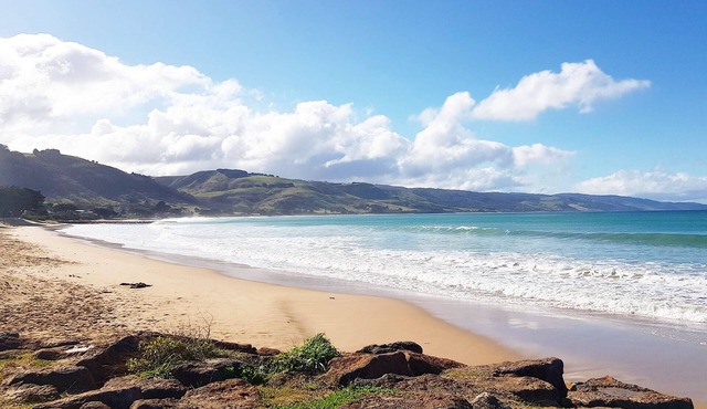 Seaview Motel and Apartments